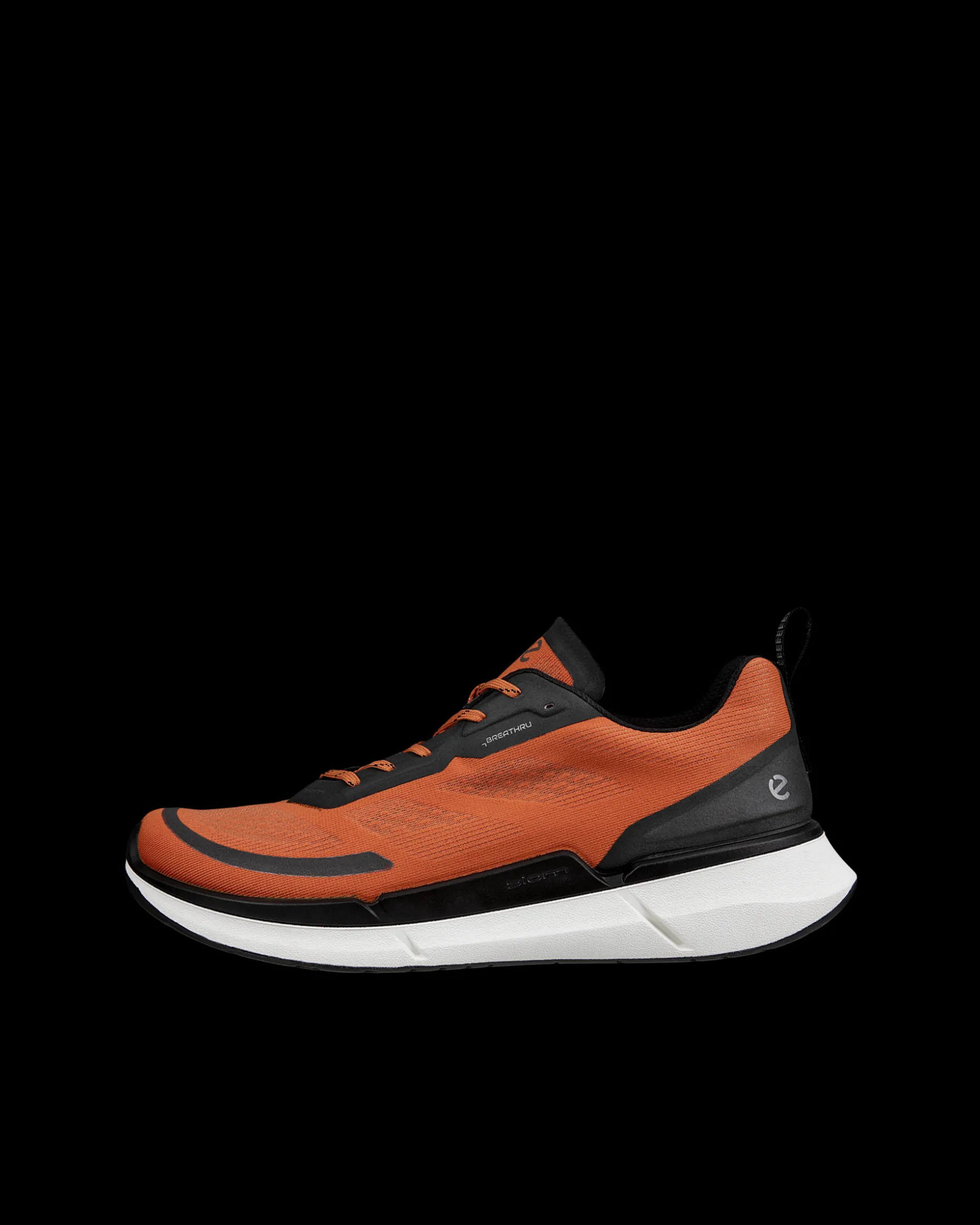 ECCO BIOM 2.2 M