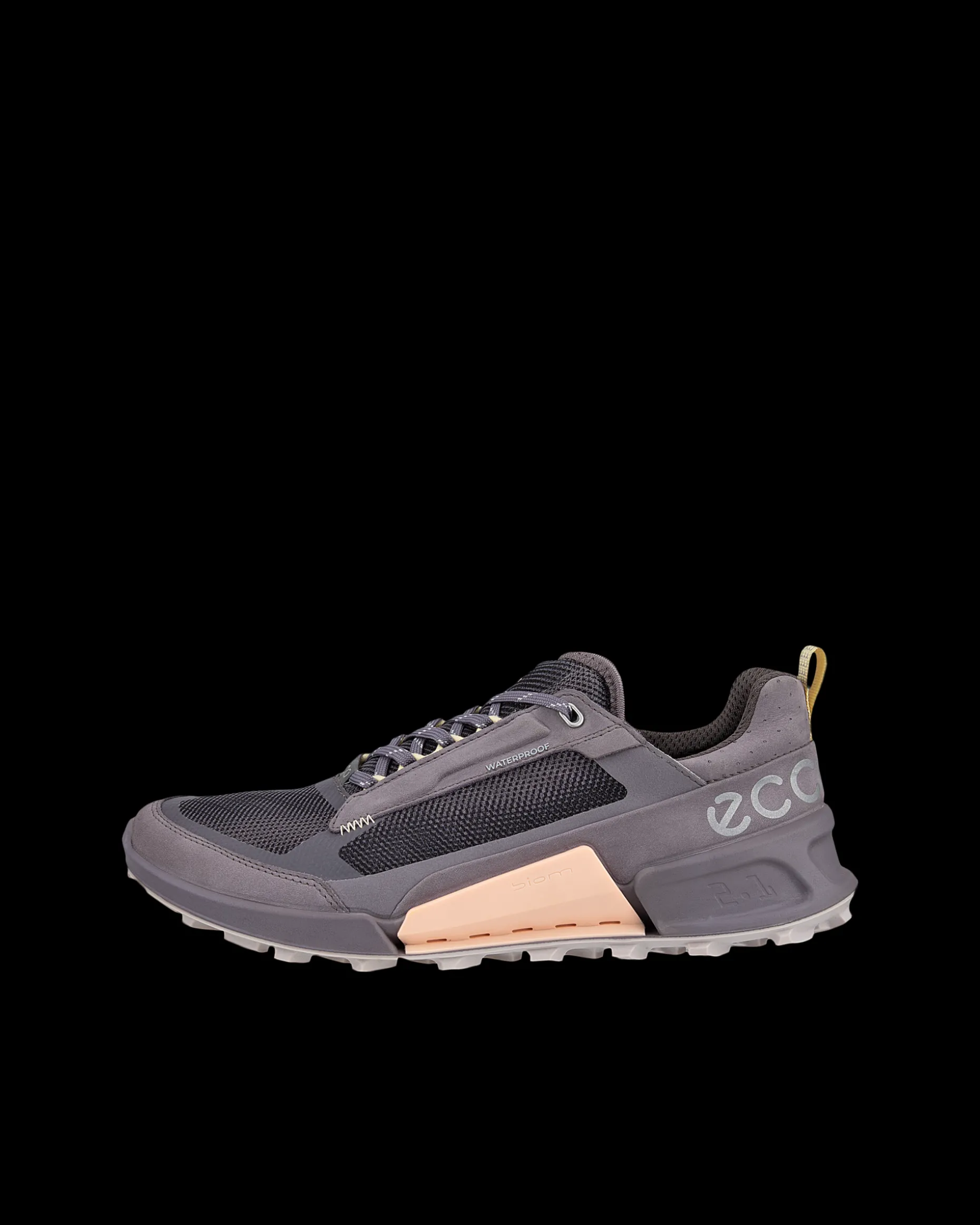 ECCO BIOM 2.1 X MOUNTAIN W