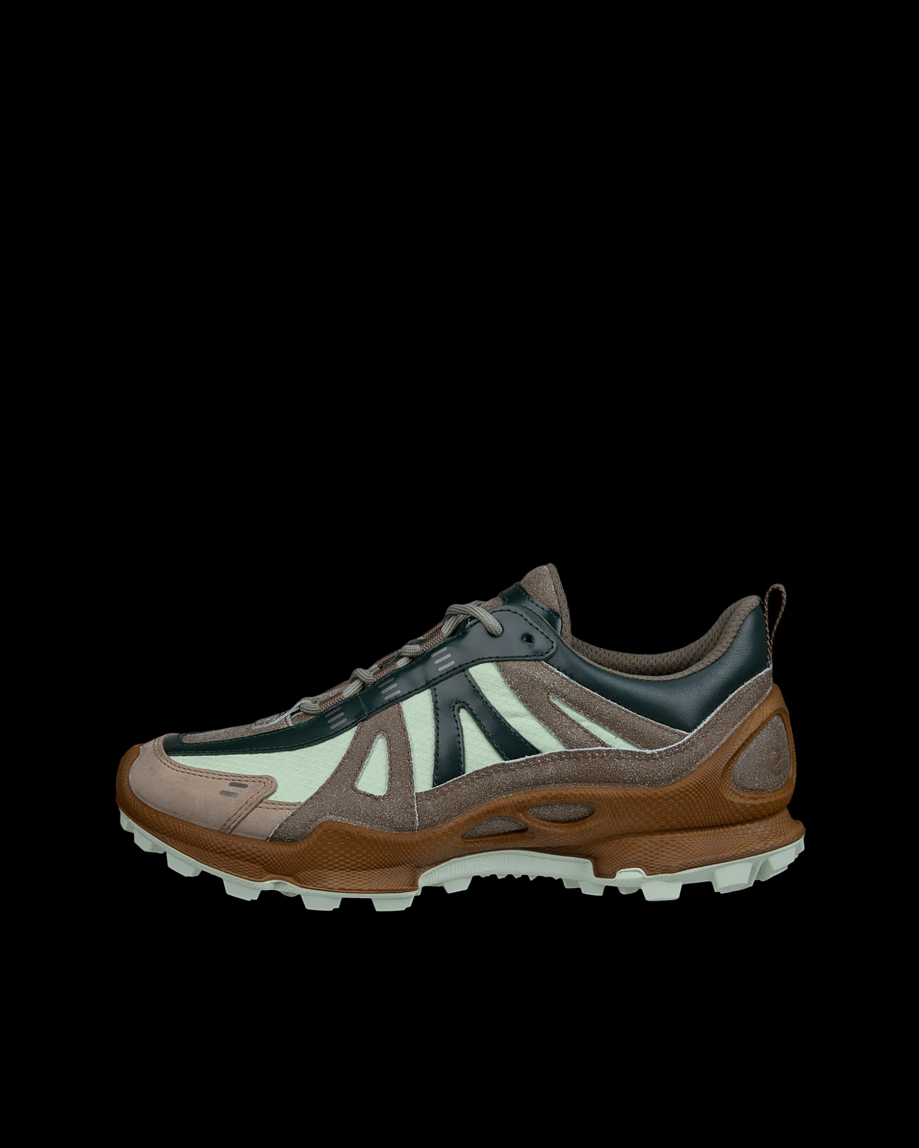 ECCO BIOM C-TRAIL W