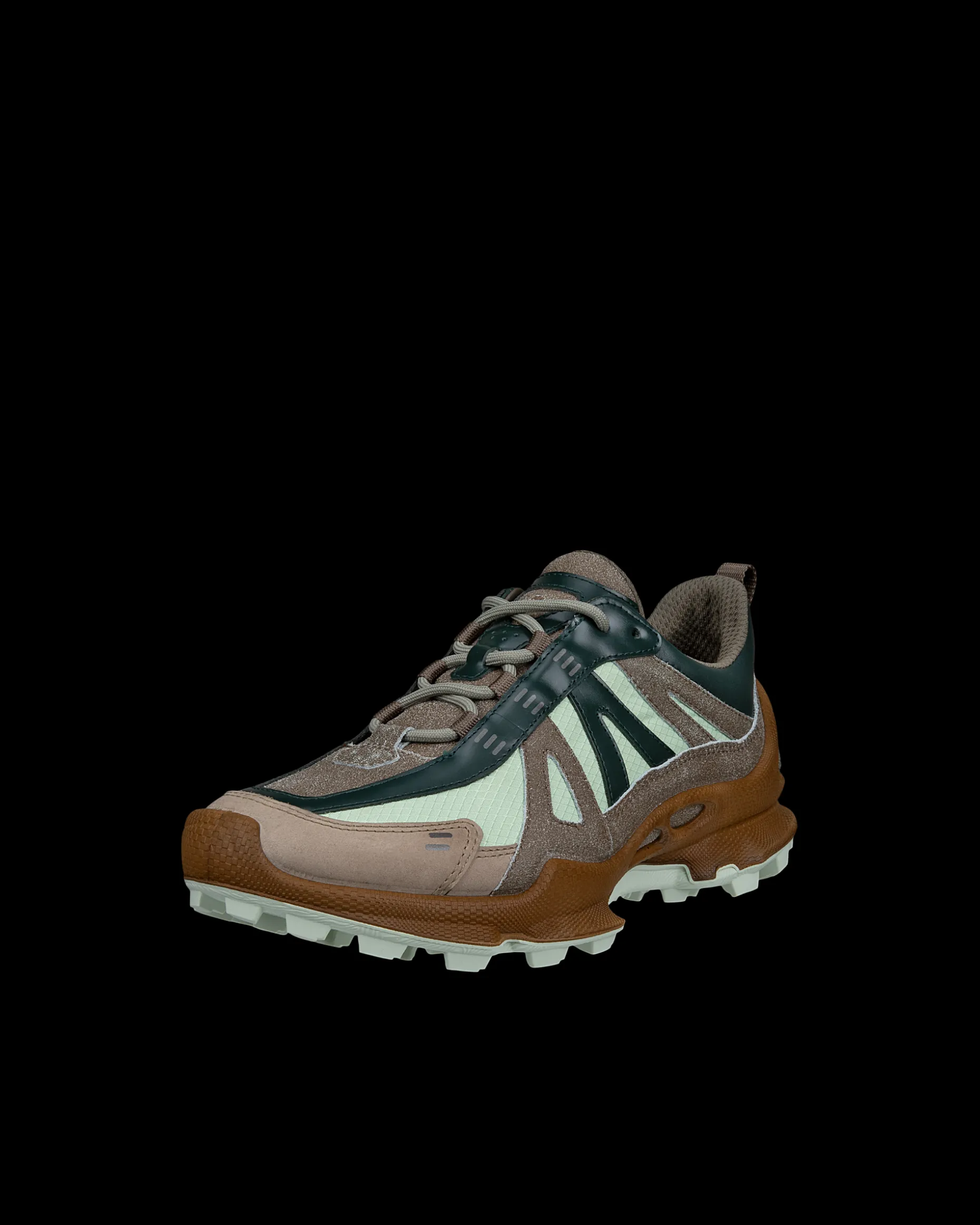 ECCO BIOM C-TRAIL W